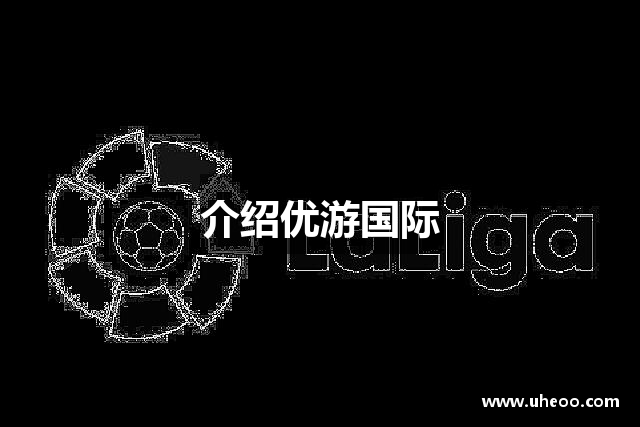 介绍优游国际